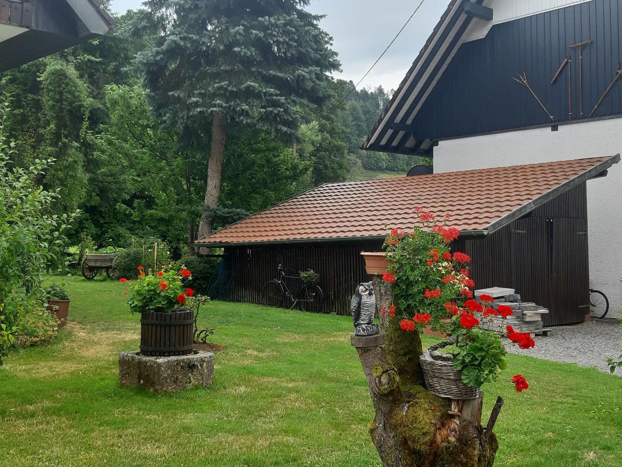 Ferienapartment Karle Nordrach 외부 사진